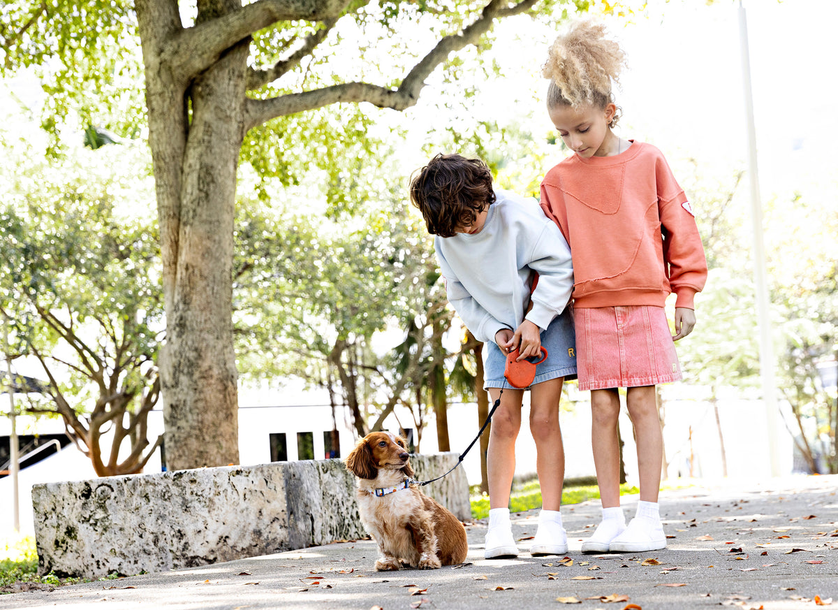 Rooie and Friends Patched Sweatshirt