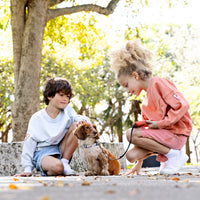 Rooie and Friends Patched Sweatshirt